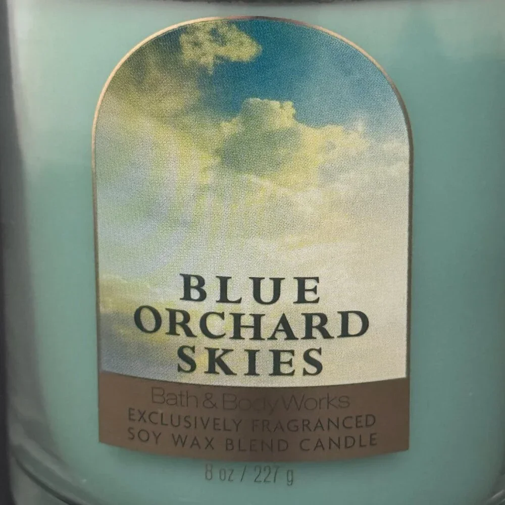 BBW Blue Orchard Skies Bath & Body Works Single Wick Candle